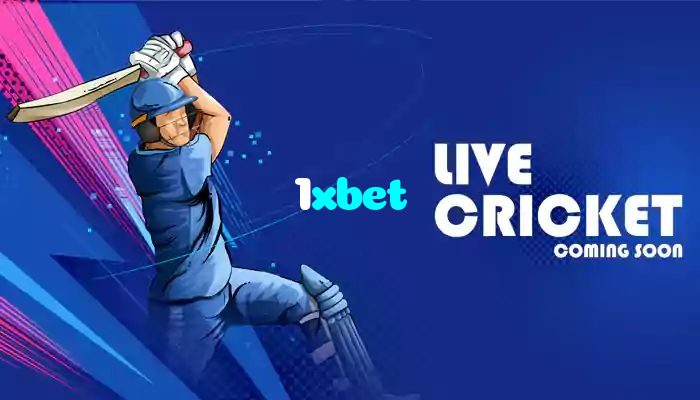 available types of 1xbet bet including pre-match live express and system bets